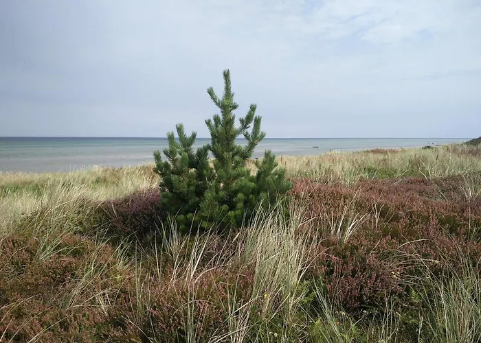 6 Person In Glesborg-by Traum *